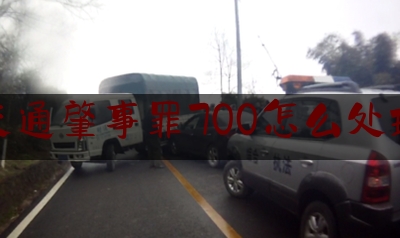 交通肇事罪700怎么处理（广河高速7.6事故视频）