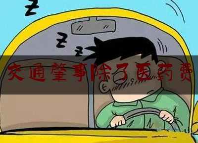 简单科普一下交通肇事除了医药费,河北省2023年度道路交通事故人身损害赔偿标准有关参考数据