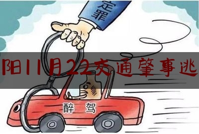 洛阳11月22交通肇事逃逸（逃逸终被抓 汝州警方成功抓获“2·20”交通肇事嫌疑人）