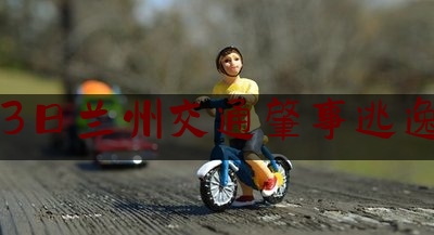 9月23日兰州交通肇事逃逸规定（甘肃省交通道路安全条例文件）