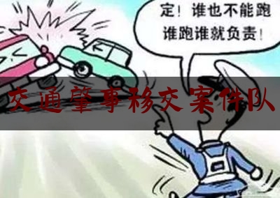 最新热点解说交通肇事移交案件队,紫金县人民政