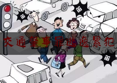 权威干货速递:交通肇事罪逃逸累犯,套牌车撞车怎么办