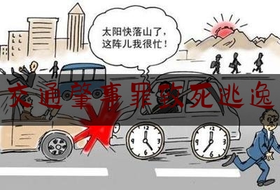 交通肇事罪致死逃逸（交通肇事（逃逸）案件的办理流程及取证思路）