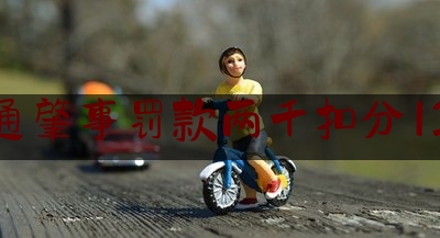 交通肇事罚款两千扣分12分（殡葬价格是政府指导价格）