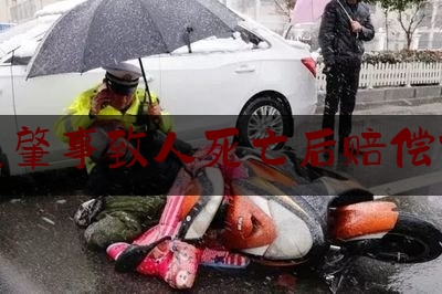 交通肇事致人死亡后赔偿协议（交通肇事致死亡 当庭调解获赔偿）