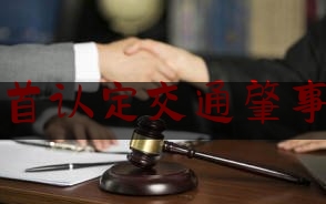 自首认定交通肇事罪（车内杀蚊）