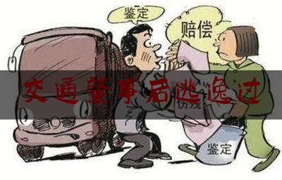 交通肇事后逃逸过（两车相撞一车逃逸怎么划分责任）