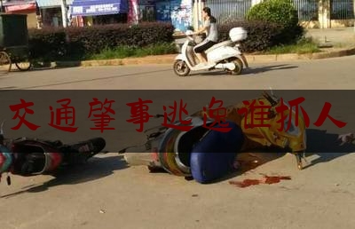 交通肇事逃逸谁抓人（一般肇事逃逸24小时能破案吗）