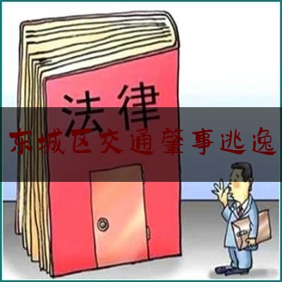 查看热点头条:东城区交通肇事逃逸,对方肇事逃逸交警不追究我可以要求追究吗