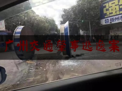 现场专业信息:广州交通肇事逃逸案,广州交警事件