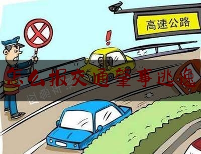 怎么报交通肇事逃逸（交通事故逃逸要怎么赔偿）