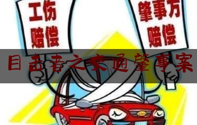 简单说一下目击者之交通肇事案,上海发生重大车祸2死5伤