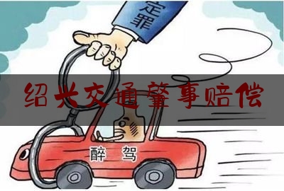 绍兴交通肇事赔偿（交通事故受害 先予执行解困——浙江绍兴法院裁定“提前”赔偿帮母子跨“疫”）