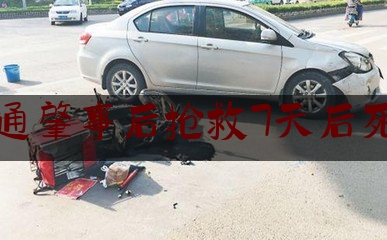 交通肇事后抢救7天后死亡（撞到人弃车逃跑）