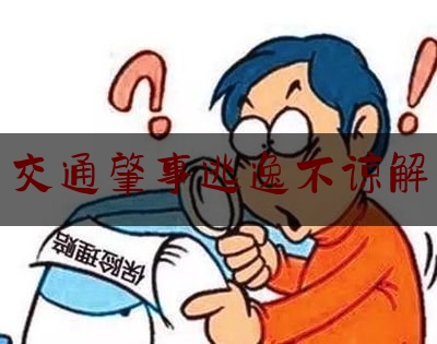 今天我们科普一下交通肇事逃逸不谅解,具有下列选项哪些情形,法院可以对犯罪人免除刑罚