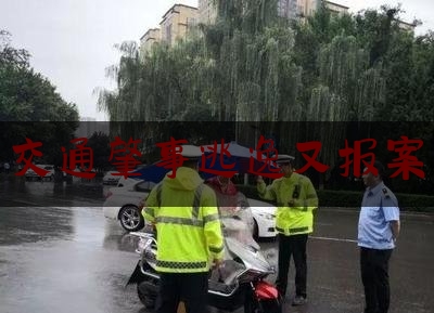 [见解]追踪解读:交通肇事逃逸又报案,第二次撞死人处理