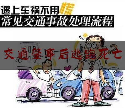 [日常]专业消息:交通肇事后逃跑死亡,广州故意撞人