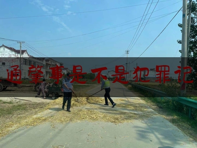 [热门]资深介绍:交通肇事是不是犯罪记录,湖北武汉汉阳区弘桥小学内发生一起交通事故