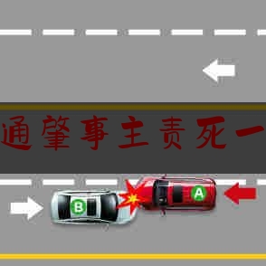 交通肇事主责死一人（乘客开门时 被撞是驾驶员责任吗）
