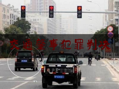 交通肇事犯罪判决（湖南娄底宝马4s店）