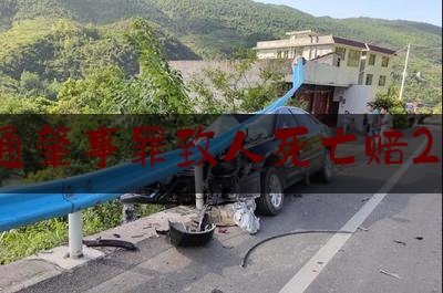 交通肇事罪致人死亡赔20万（低价充值卡充值平台）