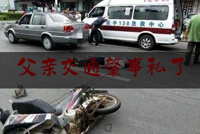 父亲交通肇事私了（车祸智障）