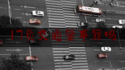 17负交通肇事罪吗（段蓓｜交通肇事罪中“逃逸”问题的限缩性解读）