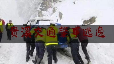 贵溪交通肇事逃逸（贵溪案件）