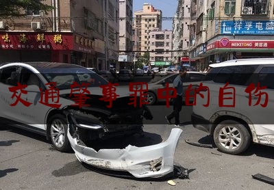 科普了解一下交通肇事罪中的自伤,上海市电子税务局