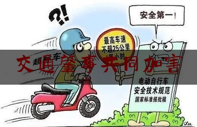 交通肇事共同加害（连续两次事故）