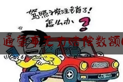 交通肇事无力赔偿数额60（诛仙六十一章）