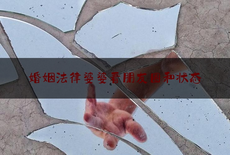 婚姻法律婆婆看朋友圈和状态