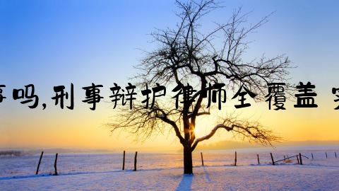 律师刑事吗,刑事辩护律师全覆盖 实施办法