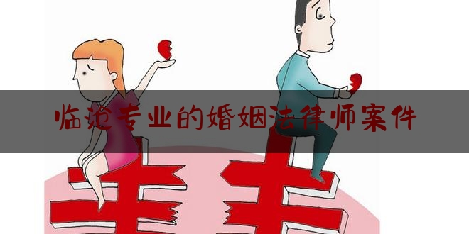 临沧专业的婚姻法律师案件