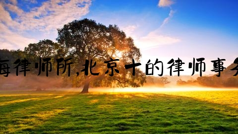 上海律师所,北京十的律师事务所