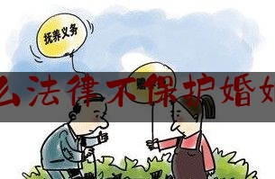 为什么法律不保护婚姻关系