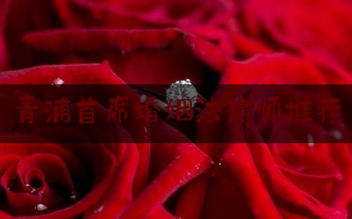 青浦首席婚姻法律师推荐