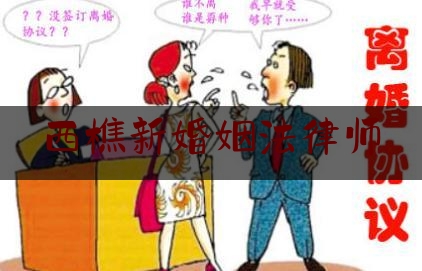 西樵新婚姻法律师