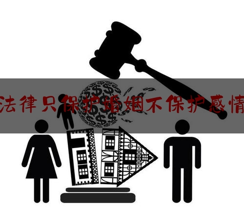 法律只保护婚姻不保护感情