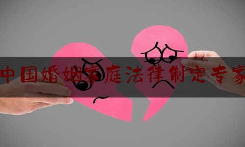 中国婚姻家庭法律制定专家