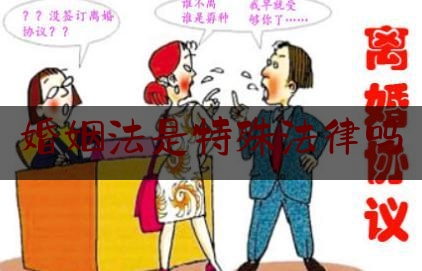 婚姻法是特殊法律吗