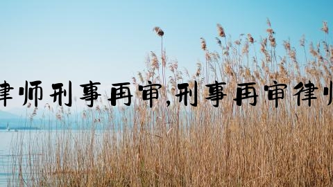 律师刑事再审,刑事再审律师