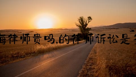 上海律师贵吗,的律师诉讼是多少