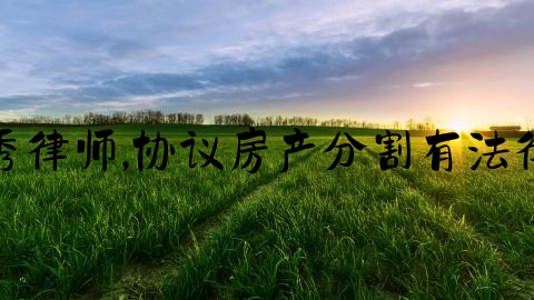 上海优秀律师,协议房产分割有法律效力吗