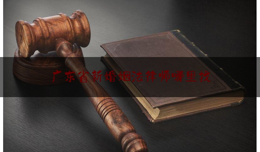 广东省新婚姻法律师哪里找