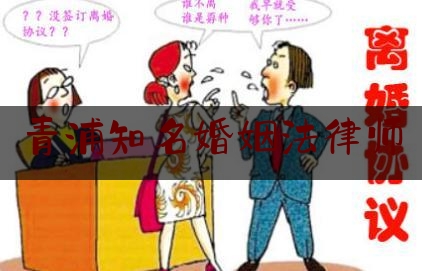 青浦知名婚姻法律师