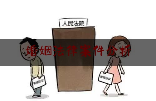 婚姻法律案件分析