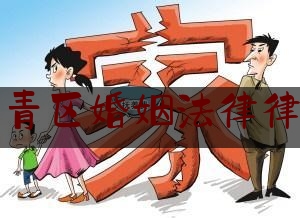 西青区婚姻法律律师