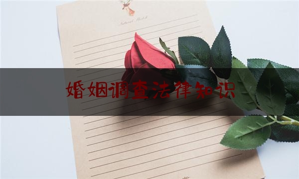 婚姻调查法律知识