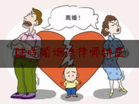 陆晖婚姻法律师讲座